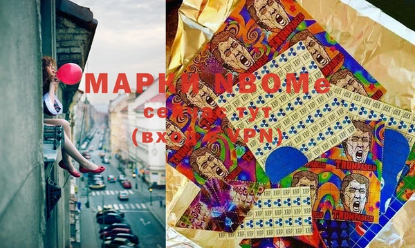 прущие грибы Абаза