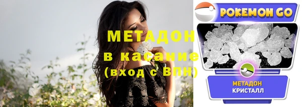 прущие грибы Абаза