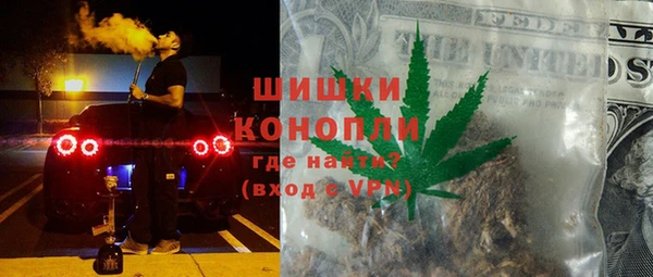 прущие грибы Абаза