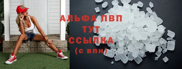 прущие грибы Абаза