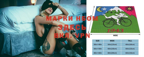 прущие грибы Абаза