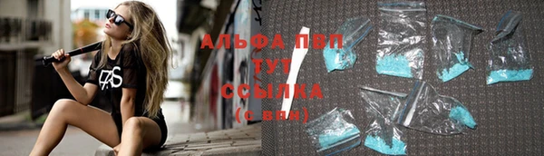 прущие грибы Абаза