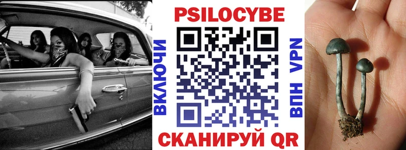 Галлюциногенные грибы MAGIC MUSHROOMS  где купить наркоту  Туапсе 